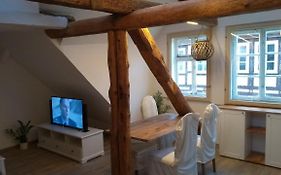 Eulen-&Altstadtnest